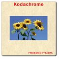 Dia Kodachrome  Diapositiv scannen & digitalisieren