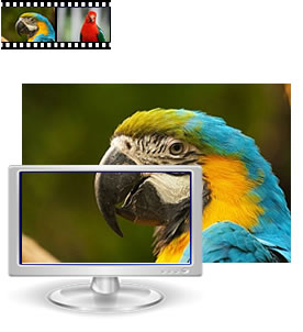 Bildgrösse 3200 Pixel im Vergleich zum Bildschirm