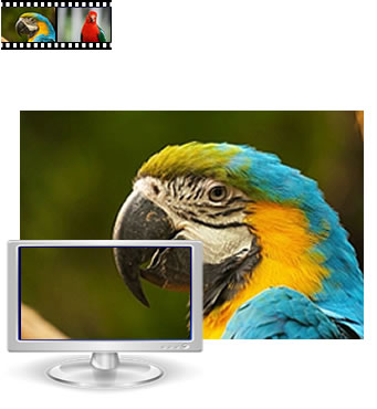 Bildgrösse 4200 Pixel im Vergleich zum Bildschirm