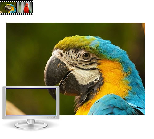 Bildgrösse 5800 Pixel im Vergleich zum Bildschirm